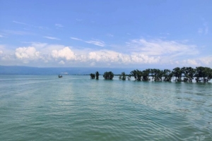 টাঙ্গুয়ার হাওরের পানিতে উচ্চমাত্রার ভারী ধাতু