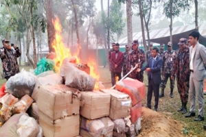 শ্রীমঙ্গলে দেড় কোটি টাকার মাদকদ্রব্য ধ্বংস করলো বিজিবি