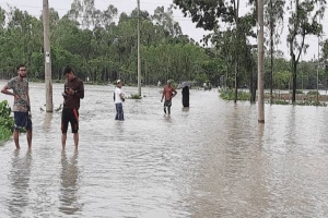 দুর্ভোগ পানিবন্দী মানুষ, আশ্রয়কেন্দ্রে যেতে অনিহা