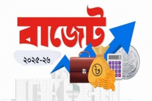বাজেটে স্বস্তি নেই মধ্যবিত্তের