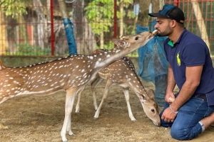 সখের খামার নয় যেন মিনি 'চিড়িয়াখানা'