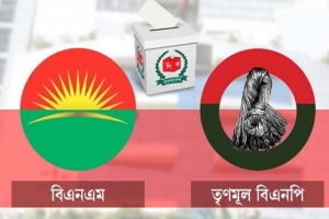 বিএনএম-তৃণমূল বিএনপির ভবিষ্যৎ কী?