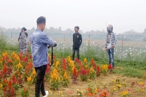 সুনামগঞ্জের ফ্লাওয়ার লেকে ছুটছেন দর্শনার্থীরা