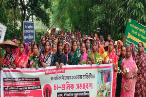 চা শ্রমিকদের ‘মুল্লুক চলো’ আন্দোলনের রাষ্ট্রীয় স্বীকৃতির দাবি