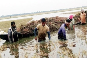 শাল্লায় ক্ষতিগ্রস্ত কৃষকের তালিকায় অনিয়ম, স্থান পেলেন মৃত ব্যক্তিরাও শাল্লায় ক্ষতিগ্রস্ত কৃষকের তালিকায় অনিয়ম, স্থান পেলেন মৃত ব্যক্তিরাও