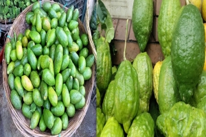 সেঞ্চুরি ছাড়াল লেবু