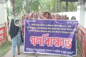 চা শ্রমিক ইউনিয়নের নির্বাচন-৫০০ টাকা মজুরি কার্যকরের দাবিতে বিক্ষোভ