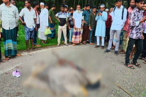 তামাবিল মহাসড়কে বাসের চাপায় কিশোরী নিহত, আহত ৩ তামাবিল মহাসড়কে বাসের চাপায় কিশোরী নিহত, আহত ৩
