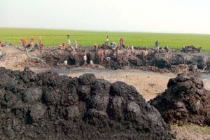 হাওরে কালো মাটি তোলার হিড়িক