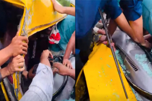 বিয়ানীবাজারে বাস-ট্রাক সংঘর্ষ, স্টিয়ারিং কেটে চালককে উদ্ধার