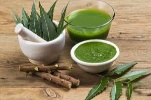 প্রাকৃতিক যত্নে ভরসা নিমপাতা