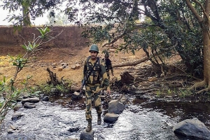ভারতে মাওবাদী বিরোধী অভিযানে নিহত ১৬