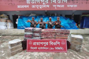 সিলেট সীমান্তে ৩৬ লাখ ৫৩ হাজার টাকার চোরাচালানি পণ্য জব্দ