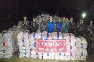 সিলেট সীমান্তে পৃথক অভিযানে ৯৩ লক্ষাধিক টাকার চোরাই পণ্য আটক 