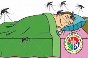 মশার যন্ত্রণায় অতিষ্ঠ নগরবাসী