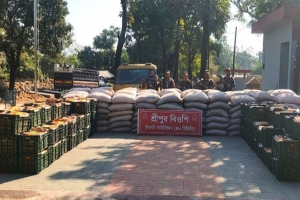 সিলেট সীমান্তে ফের সোয়া কোটি টাকার ভারতীয় পণ্য জব্দ
