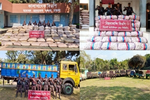 সিলেটে ২ কোটি ৮১ লাখ টাকার ভারতীয় চোরাই পণ্য জব্দ