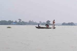 বানের পানিতে ভেসে গেছে ৯৬ কোটি টাকার ফসল