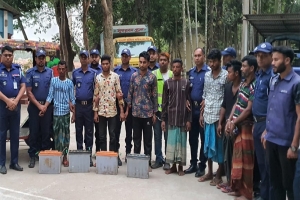 ধর্মপাশায় দুই ইজিবাইক চালক খুনের ঘটনায় গ্রেপ্তার ৭