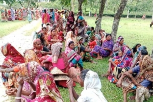 গোয়াইনঘাটে মানবেতর জীবন কাটাচ্ছেন চা শ্রমিকরা