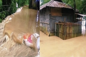 কুশিয়ারার ডাইক ভেঙ্গ জকিগঞ্জ প্লাবিত