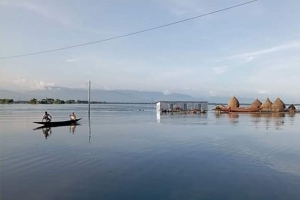 দোয়ারাবাজারে বন্যার পানিতে ভেসে গেল ২৫ কোটি টাকার মাছ 
