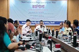 বিগত সময়ে রাষ্ট্রের কোনো অগ্রগতি হয়নি : বিভাগীয় কমিশনার