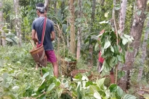 ছয় বছর ধরে প্রধান শিক্ষকশূন্য বিদ্যালয় ছয় বছর ধরে প্রধান শিক্ষকশূন্য বিদ্যালয়