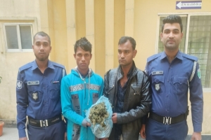 গোয়াইনঘাটে গাঁজাসহ আটক ২