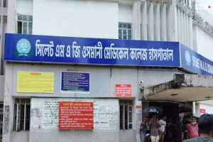 সিলেটে ৭ মাসে হাম ও নিউমোনিয়ায় ১০৮ শিশুর মৃত্যু