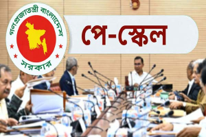 পে-স্কেলের প্রস্তাব উঠছে মন্ত্রিসভায়, প্রজ্ঞাপন কবে?