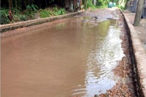 হেতিমগঞ্জ-ঢাকাদক্ষিণ সড়কের বেহাল দশা