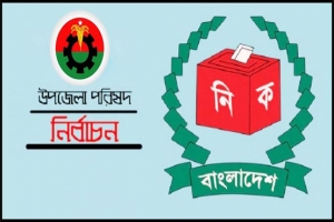 উপজেলা নির্বাচন নিয়ে কৌশলী বিএনপি