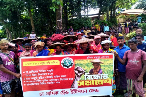 মজুরি ৫০০ টাকা না হলে আন্দোলন জোরদারের হুঁশিয়ারি চা-শ্রমিকদের