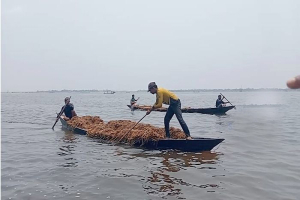 শাল্লায় পানির নিচে তলিয়ে গেছে ৩৫০ কোটি টাকার ধান-খড়