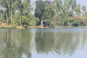 প্রকৃতির অপরূপ সৌন্দর্যে মোড়ানো পর্যটন স্বর্গ মাধবপুর লেক