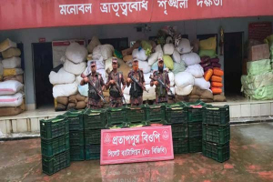 সিলেট সীমান্তে বিজিবির একাধিক অভিযান, আটক ২৪ লাখ টাকার পণ্য