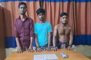 মাধবপুরে ইয়াবাসহ আটক ৩