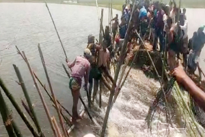 বাঁধ ভেঙে ডুবছে ‘দেখার হাওরে’, ধান রক্ষার লড়াই
