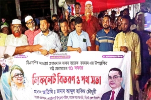 সমৃদ্ধ বাংলাদেশ গঠনের রূপরেখা হচ্ছে তারেক রহমান ঘোষিত ৩১ দফা : হাকিম চৌধুরী