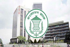 মেয়াদোত্তীর্ণ ঋণের দণ্ড সুদ এখন ০.৫ শতাংশ, বাংলাদেশ