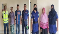 ৩ আসামীকে গ্রেফতার করে শায়েস্তাগঞ্জ থানা পুলিশ