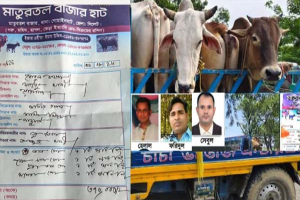 গোয়াইনঘাটে ভুয়া রশিদে ভারতীয় গরুর রমরমা বাণিজ্য, ‘ম্যানেজ’ প্রক্রিয়ায় চেকপোস্ট পারাপার