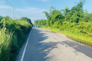 ঝোপঝাড়ে ঢেকে যাচ্ছে সিলেট-জকিগঞ্জ সড়ক