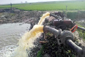 গুঙ্গিয়াজুরি হাওরে তীব্র পানি সংকট
