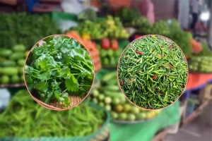 সিলেটে কাঁচা মরিচ ৫০০ ও ধনেপাতার কেজি ৮০০ টাকা!