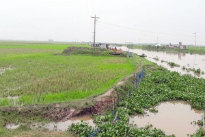 আজমিরীগঞ্জে জাইকা প্রকল্পে 'হরিলুট'!