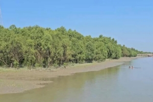 এবার মর্টার শেলে কাঁপল টেকনাফ সীমান্ত