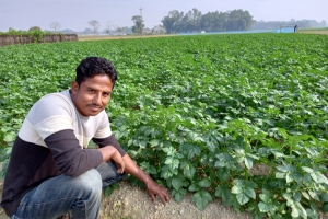 আলু চাষে মনযোগ : লক্ষ টাকা লাভের স্বপ্ন 