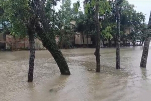কানাইঘাটে বিপদসীমার নিচে নেমেছে সুরমার পানি